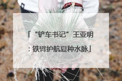 “铲车书记”王亚明：铁臂护航夏种水脉
