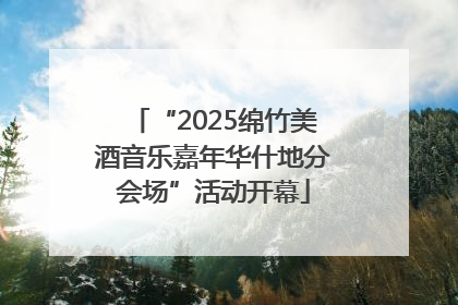 “2025绵竹美酒音乐嘉年华什地分会场”活动开幕