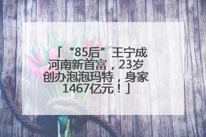 “85后”王宁成河南新首富，23岁创办泡泡玛特，身家1467亿元！