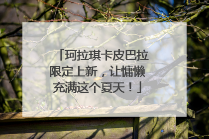 珂拉琪卡皮巴拉限定上新，让慵懒充满这个夏天！
