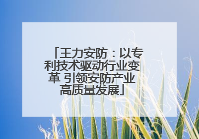 王力安防：以专利技术驱动行业变革 引领安防产业高质量发展