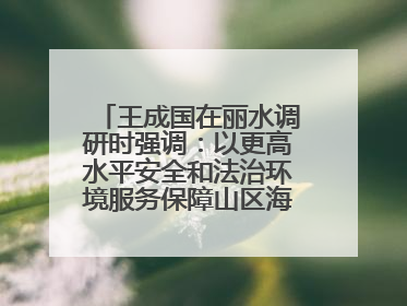 王成国在丽水调研时强调：以更高水平安全和法治环境服务保障山区海岛县高质量发展