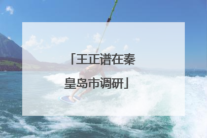 王正谱在秦皇岛市调研