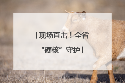 现场直击！全省“硬核”守护