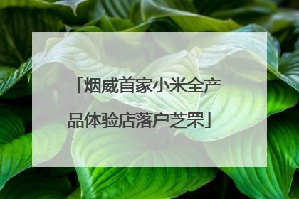 烟威首家小米全产品体验店落户芝罘
