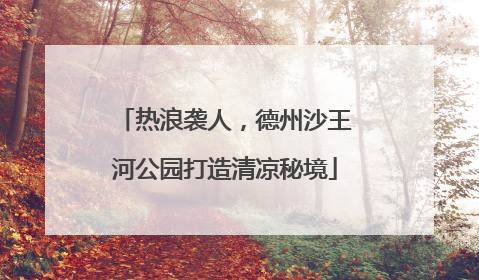 热浪袭人，德州沙王河公园打造清凉秘境