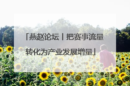 燕赵论坛丨把赛事流量转化为产业发展增量