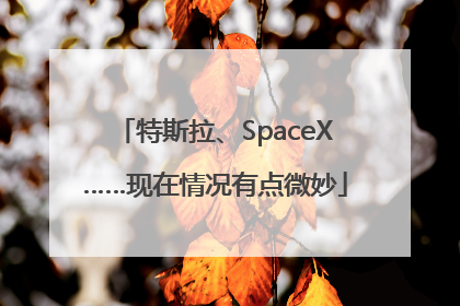 特斯拉、SpaceX……现在情况有点微妙