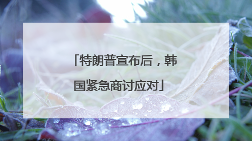 特朗普宣布后，韩国紧急商讨应对