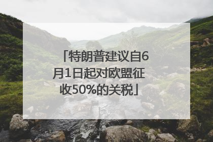 特朗普建议自6月1日起对欧盟征收50%的关税