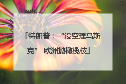 特朗普：“没空理马斯克” 欧洲抛橄榄枝