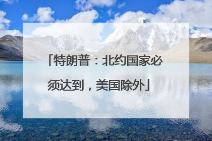 特朗普：北约国家必须达到，美国除外