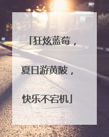 狂炫蓝莓，夏日游黄陂，快乐不宕机