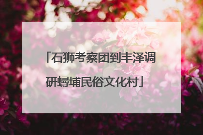 石狮考察团到丰泽调研蟳埔民俗文化村