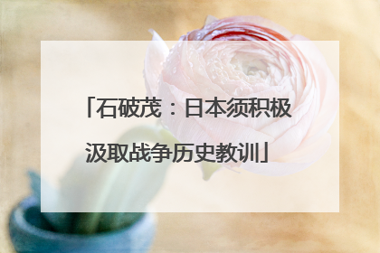 石破茂：日本须积极汲取战争历史教训