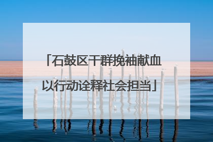 石鼓区干群挽袖献血 以行动诠释社会担当