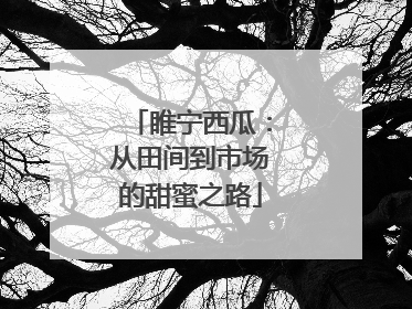 睢宁西瓜：从田间到市场的甜蜜之路