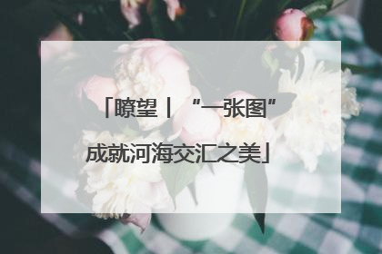 瞭望丨“一张图”成就河海交汇之美