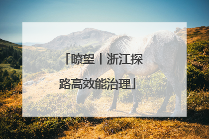 瞭望丨浙江探路高效能治理