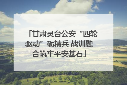 甘肃灵台公安“四轮驱动”砺精兵 战训融合筑牢平安基石