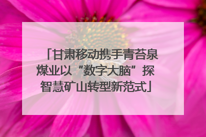 甘肃移动携手青苔泉煤业以“数字大脑”探智慧矿山转型新范式