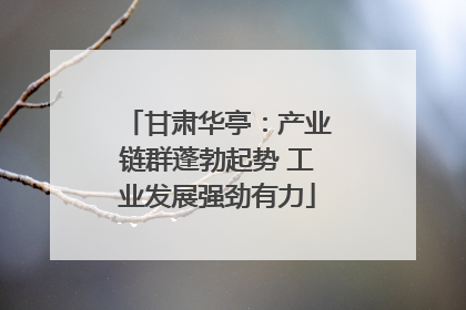 甘肃华亭：产业链群蓬勃起势 工业发展强劲有力