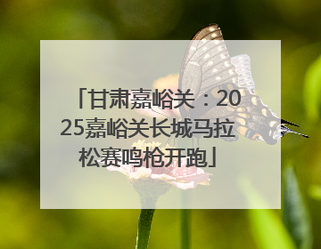 甘肃嘉峪关：2025嘉峪关长城马拉松赛鸣枪开跑