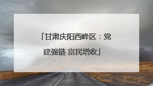 甘肃庆阳西峰区：党建强链 富民增收