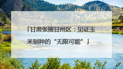 甘肃张掖甘州区：见证玉米制种的“无限可能”