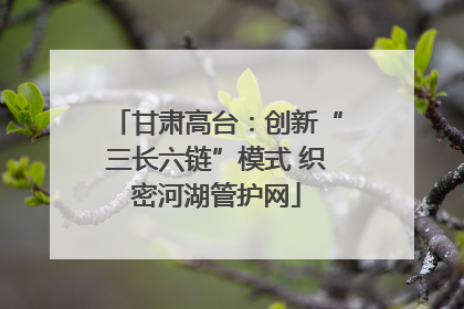 甘肃高台：创新“三长六链”模式 织密河湖管护网