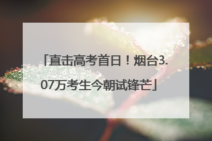 直击高考首日！烟台3.07万考生今朝试锋芒