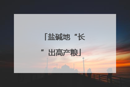 盐碱地“长”出高产粮