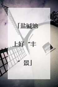 盐碱地上好“丰”景