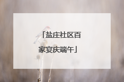 盐庄社区百家宴庆端午