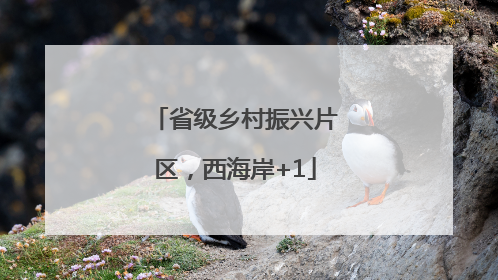 省级乡村振兴片区，西海岸+1