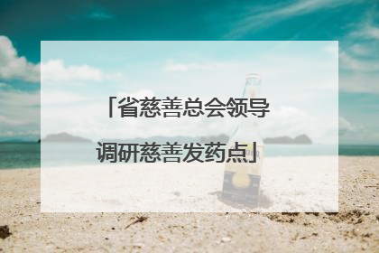 省慈善总会领导调研慈善发药点