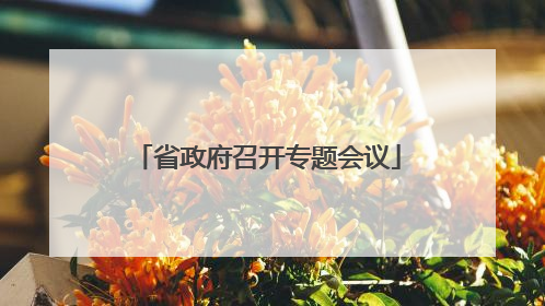 省政府召开专题会议