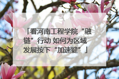 看河南工程学院“融链”行动 如何为区域发展按下“加速键”