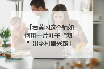看黄冈这个镇如何用一片叶子“沏”出乡村振兴路