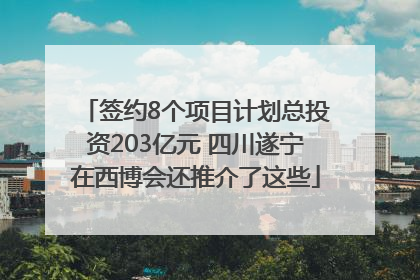 签约8个项目计划总投资203亿元 四川遂宁在西博会还推介了这些