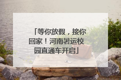 等你放假，接你回家！河南暑运校园直通车开启