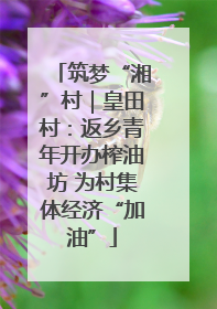 筑梦“湘”村｜皇田村：返乡青年开办榨油坊 为村集体经济“加油”