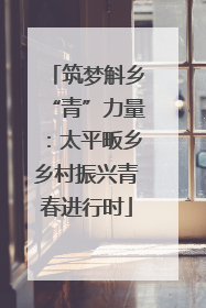筑梦斛乡“青”力量：太平畈乡乡村振兴青春进行时