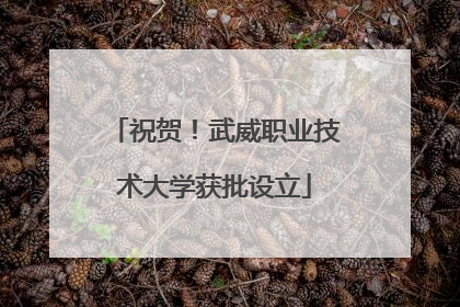 祝贺！武威职业技术大学获批设立