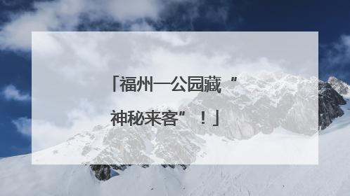 福州一公园藏“神秘来客”！