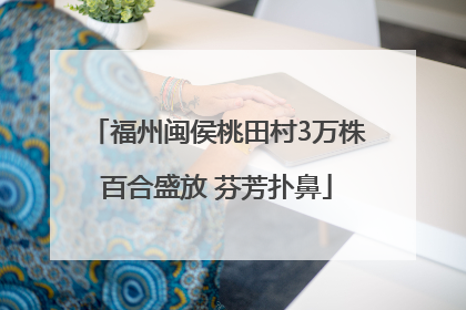 福州闽侯桃田村3万株百合盛放 芬芳扑鼻