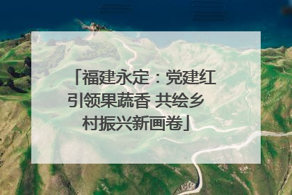 福建永定：党建红引领果蔬香 共绘乡村振兴新画卷