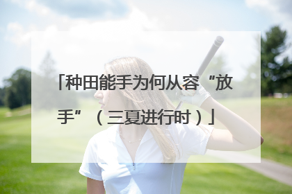 种田能手为何从容“放手”（三夏进行时）