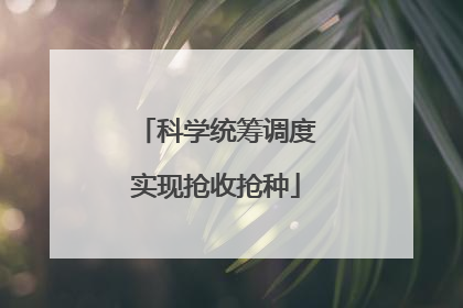 科学统筹调度实现抢收抢种