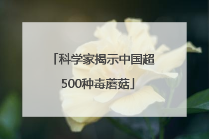 科学家揭示中国超500种毒蘑菇